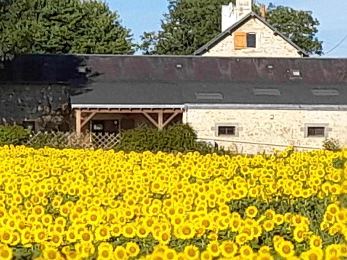 3 Self-Contained Gites With Pool And Games Room Saint-Georges-de-Noisne ภายนอก รูปภาพ